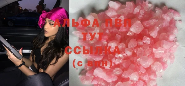 прущие грибы Армянск