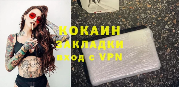 прущие грибы Армянск