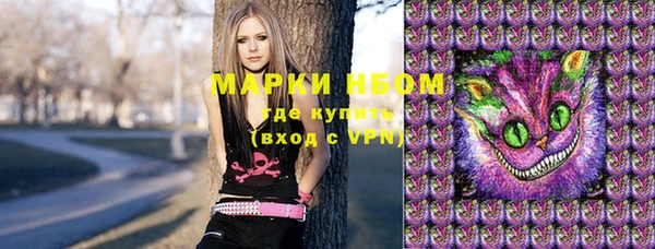 прущие грибы Армянск