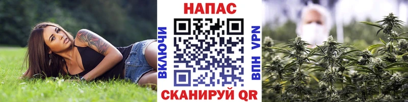 Шишки марихуана конопля  ссылка на мегу ONION  Суздаль 